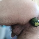 Xtudr - Perrito38: I'm looking for ...