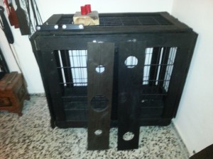 Xtudr - AMOSUNRA: Dominant male chaser, severe and demanding.
I'm not your uncle, nor your buddy, if you want I can be your master, but make...