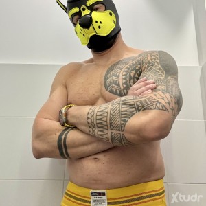 Xtudr - Busco_TOP_BB:  