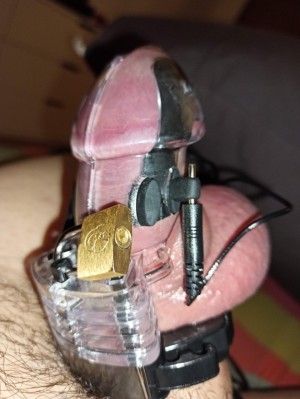 Xtudr - body: Submissive, I try to please my Master.