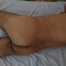 Xtudr - Perrozoo: Looking for a Dom...