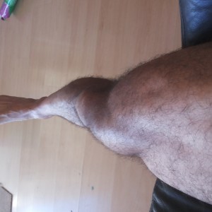 Xtudr - eresmia: AMO ACTIVO DEPORTISTA. ME GUSTAN IDEAL MADUROS GORDOS MAS DE 45 AÑOS. QUE DESEAN UN MACHO DOMINANTE DENTRO Y FUERA DE CASA....