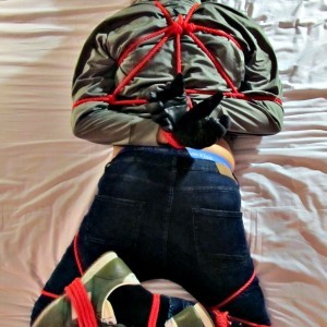 Xtudr - NOMAREES: I like bondage, consensual, tough if it has to be, but with a head.
I'm not on this page to fuck without more. If what you...