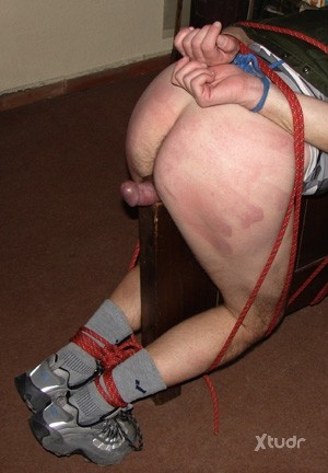 Xtudr - SW+A: I'm looking for a versatile or active submissive male, not too tall, young, with endurance, muscular or athletic - and who has...