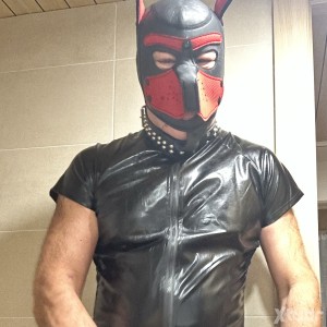 Xtudr - perrakosum: Submissive male, straight appearance, perverted.