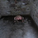 Xtudr - Canning_x_pleasure: No busc...