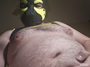 Xtudr - Pup_Sauco: Hola! Soy Sauco, un Pup de la CDMX 
