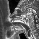 Xtudr - cerdo66: I&#039;m looki...