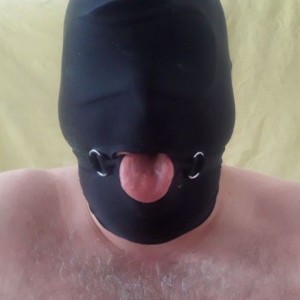 Xtudr - Luissanchez3313: What are you looking for today?