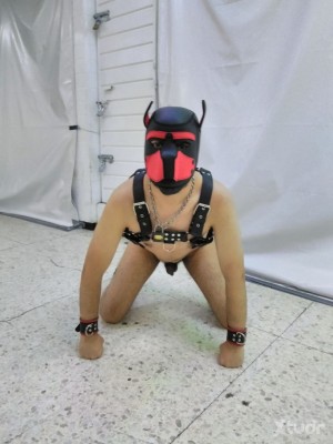 Xtudr - SlaveDog777: Buscando experimentar y cumplir fantasías.
 
