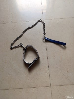 Xtudr - SERVER-DOMINUS: I'm looking for bitches to educate, lend, loan, etc. 
Only interested in convinced and aware slaves of their place. ...