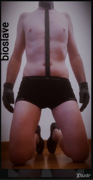 Xtudr - bioslave: I'm a submissive bottom with experience, and I'm looking for new experiences, fetishes, fantasies, etc... related to domin...