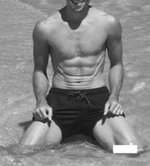 Xtudr - DoggyPas: Animal fun