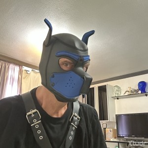 Xtudr - DATEXDADO: Normal mature man (57) versatile with experience (with face), ⬆️⬇️, Looking for good sex, Kissing 💋, Sucking 👅, eating as...