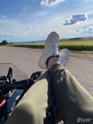 Xtudr - AMO-38: Buscando perro fijo. Buen rollo y serio. 