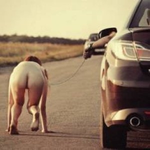 Xtudr - Rick114: Soy timido, no muy social y no tengo experiencia alguna, sin embargo estoy dispuesto a dar lo posible de mi para aprender. ...