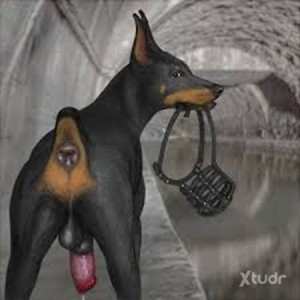Xtudr - BUSCO-DOG: CONTACT TO CONVERT OR HAVE A SUBMISSIVE AS A HUMAN PET
(HUMAN DOG PET)
For the submissives who feel the need to introduce...