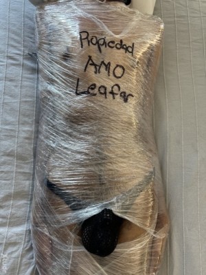 Xtudr - AmoLeafar: I'm a Dominant man, with several years of experience in the BDSM world.
The use of chastity on my submissives is essentia...