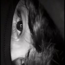 Xtudr - camixx: 