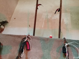 Xtudr - MEFOLLOATUMUJER: I would like to lose my virginity with your wife while I have you tied up and rape both of you at the same time. Se...