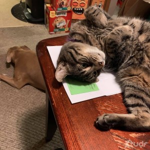 Xtudr - Andre__: I seek loyal slave, I’ll take fully control of your orgasm you’d worship me as your master and you must always seek permiss...