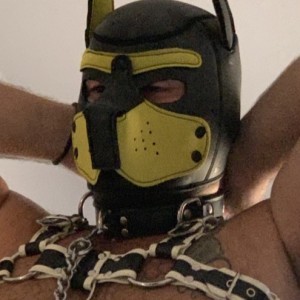 Xtudr - travieso33: I'm a chubby, wapoo, perverted, looking for dominant men, submissive, dogs, no sugar daddy thank you, pretty boy only ex...
