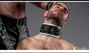 Xtudr - albatros: Pasivo,