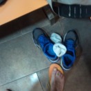 Xtudr - J_Cavallieri: Buscando cerd...