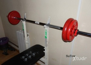 Xtudr - AMOSEM-KABRON: Short, somewhat muscular, with a repeatable penis and a very fat ass to fill with pinch and torture while being well ...