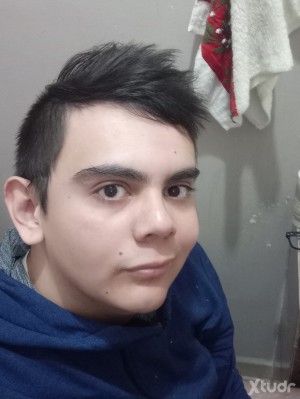 Xtudr - FireWolfGem: No translation needed, your input is already in English.