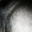 Xtudr - Marern290: I'm a submissive...