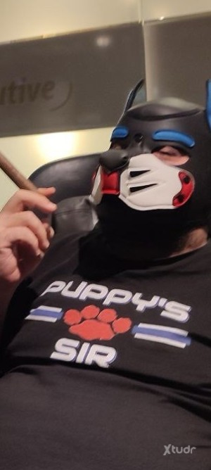 Xtudr - Handler&puppis: Cambios en mi vida y rutina… NO OS ESTRESÉIS PAPI CONTESTA CUANDO PUEDE O CUANDO LE SALE DE LOS COJONES  
Nuevo mund...