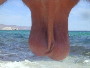 Xtudr - hombrexhombre: I'm an ALFA, very masculine, balanced, dominant and educated.
I'm looking for a submissive man in Zaragoza, for owner...