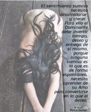 Xtudr - para.servir.am@: 