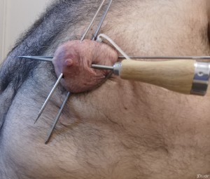 Xtudr - Oso_masoquista: I've seen the videos on motherless. Well, I want someone to do the same to me. My breasts are ready to be pierced wi...