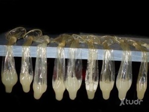 Xtudr - CT88: Cerdaco Tragalefas por boca y culo, me fui a recoger condones usados y que me los den a tragar me trago todo, y por el culo ig...