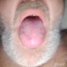 Xtudr - ZORRA_MARICA:        .........