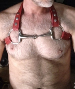 Xtudr - Tomaaas: Esclavo masculino sin pluma . Sin preferencias sexuales, me da placer dar placer. Si mi amo es cañero y cariñoso soy su per...