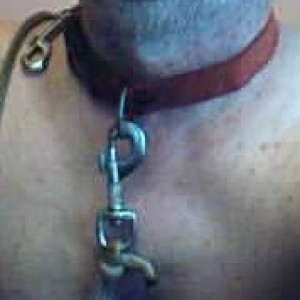 Xtudr - samoss: Submissive man in training, of pleasant appearance on the street, well-groomed body, little hair.