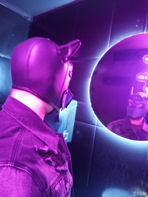 Xtudr - Toy_pup: Un perrete que le gusta salir de caza... Lanzame la pelota que te la traeré con otro regalito 🐕🐕