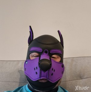 Xtudr - mtch3snp: 