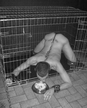 Xtudr - perrosinAMO: Dog interested in being mentally controlled, caged, trained to behave at all times like a dog, being converted into a p...