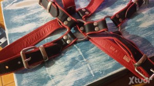 Xtudr - carlos38: Dominant man, switch looking for serious people