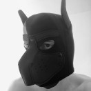 Xtudr - perrito24-7: Soy un perrito...