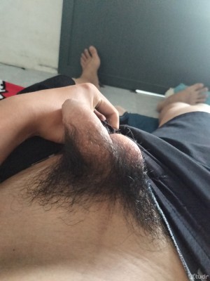 Xtudr - 4tucjula: 