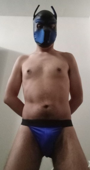 Xtudr - SlaveDog777: Buscando experimentar y cumplir fantasías.
 