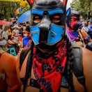 Xtudr - Pup_Leeko: My puppy name is...