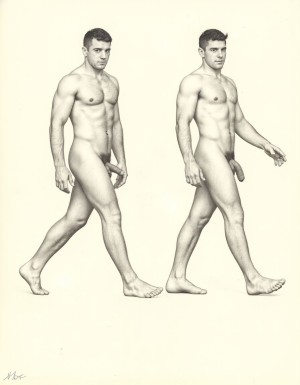 Solo hombres desnudos musculosos. Tiene pene erecto de 50 cm de longitud y 8 cm de diámetro. Dibujos tipo KAKE de Tom Tom of Finland.
((Kake Comics)). Tiene un pene de 50 cm de longitud y 8 cm de diámetro. Están caminando