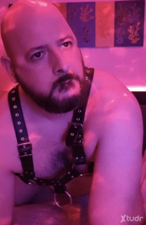Xtudr - HertraiN: 