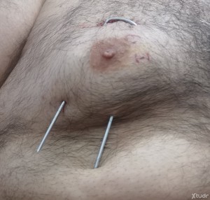 Xtudr - Oso_masoquista: Mis pechos están preparados para ser perforados con agujas de diversas medidas, clavos largos, pinchos de acero y an...